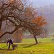 Herbst des Lebens