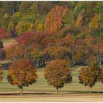 Herbst des Lebens... Déjà-vu... 