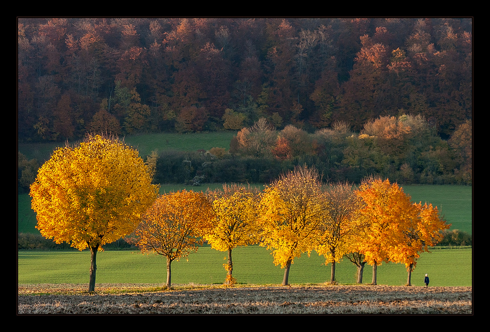 Herbst des Lebens... (in neuer Bearbeitung)