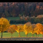 Herbst des Lebens... (in neuer Bearbeitung)