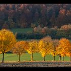 Herbst des Lebens... (in neuer Bearbeitung)