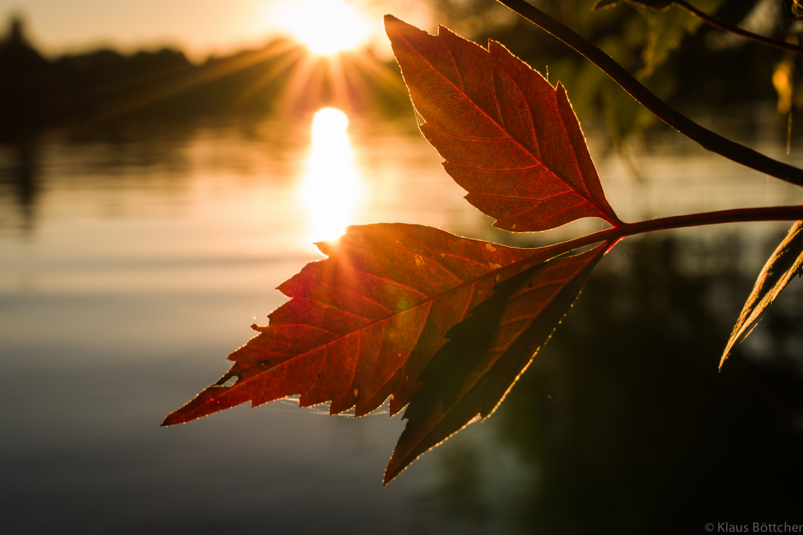 Herbst-Detail