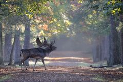 Herbst....