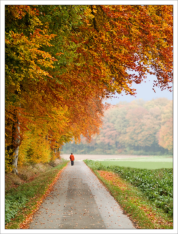 herbst