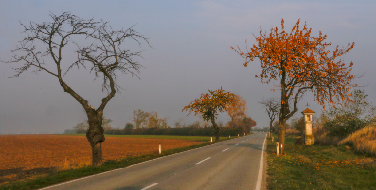 Herbst