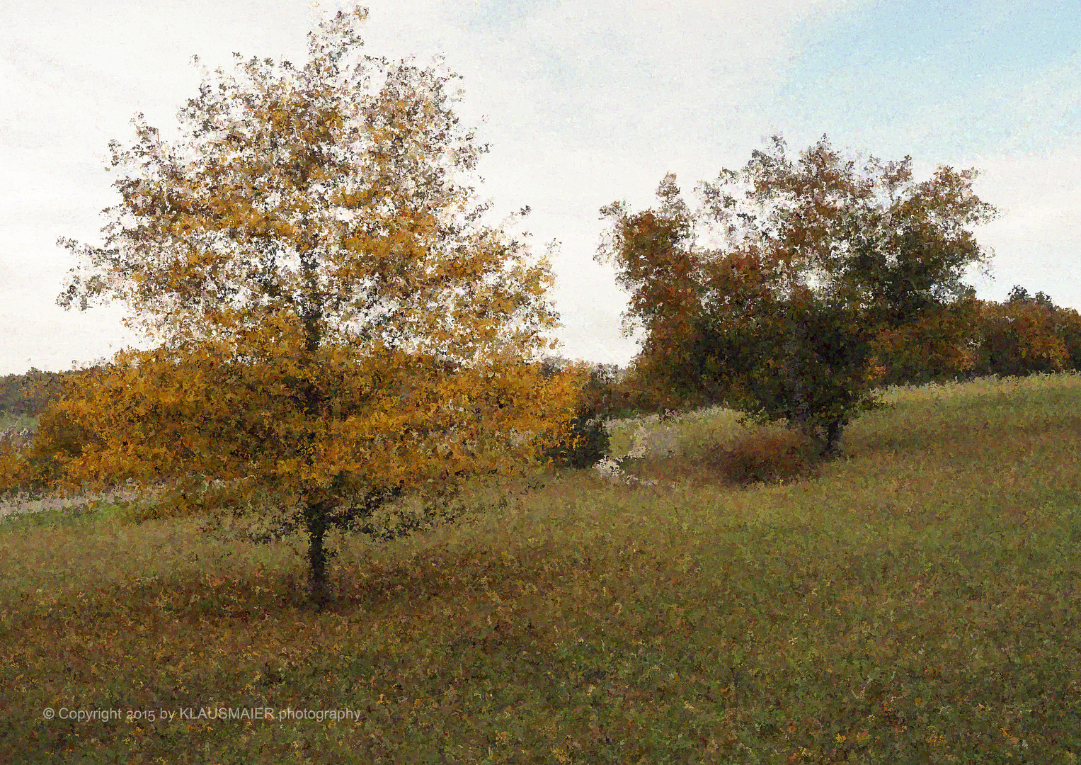 Herbst - die Blätter fallen