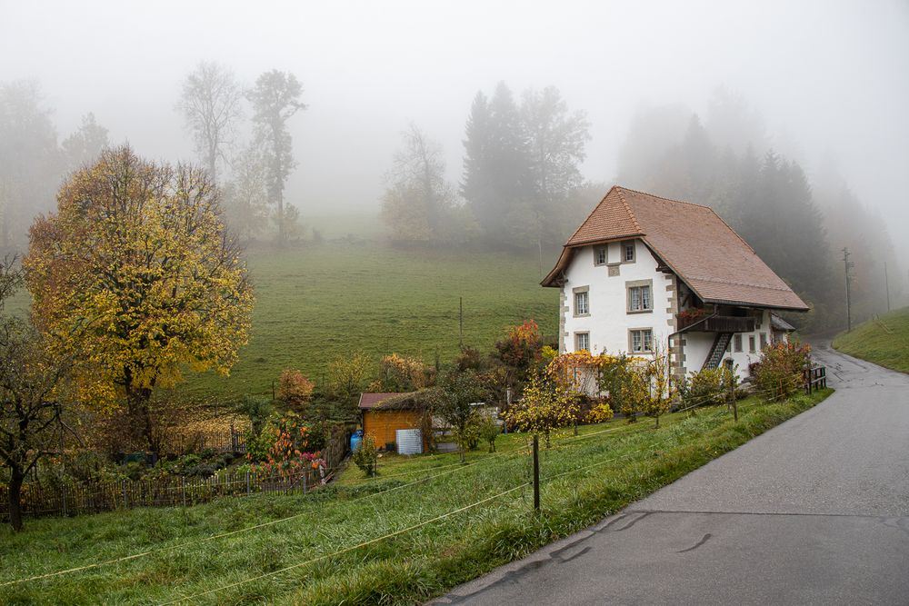 Herbst - die schönste Jahreszeit ....