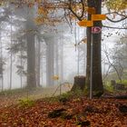 Herbst - die schönste Jahreszeit ....