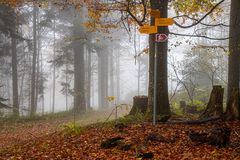 Herbst - die schönste Jahreszeit ....