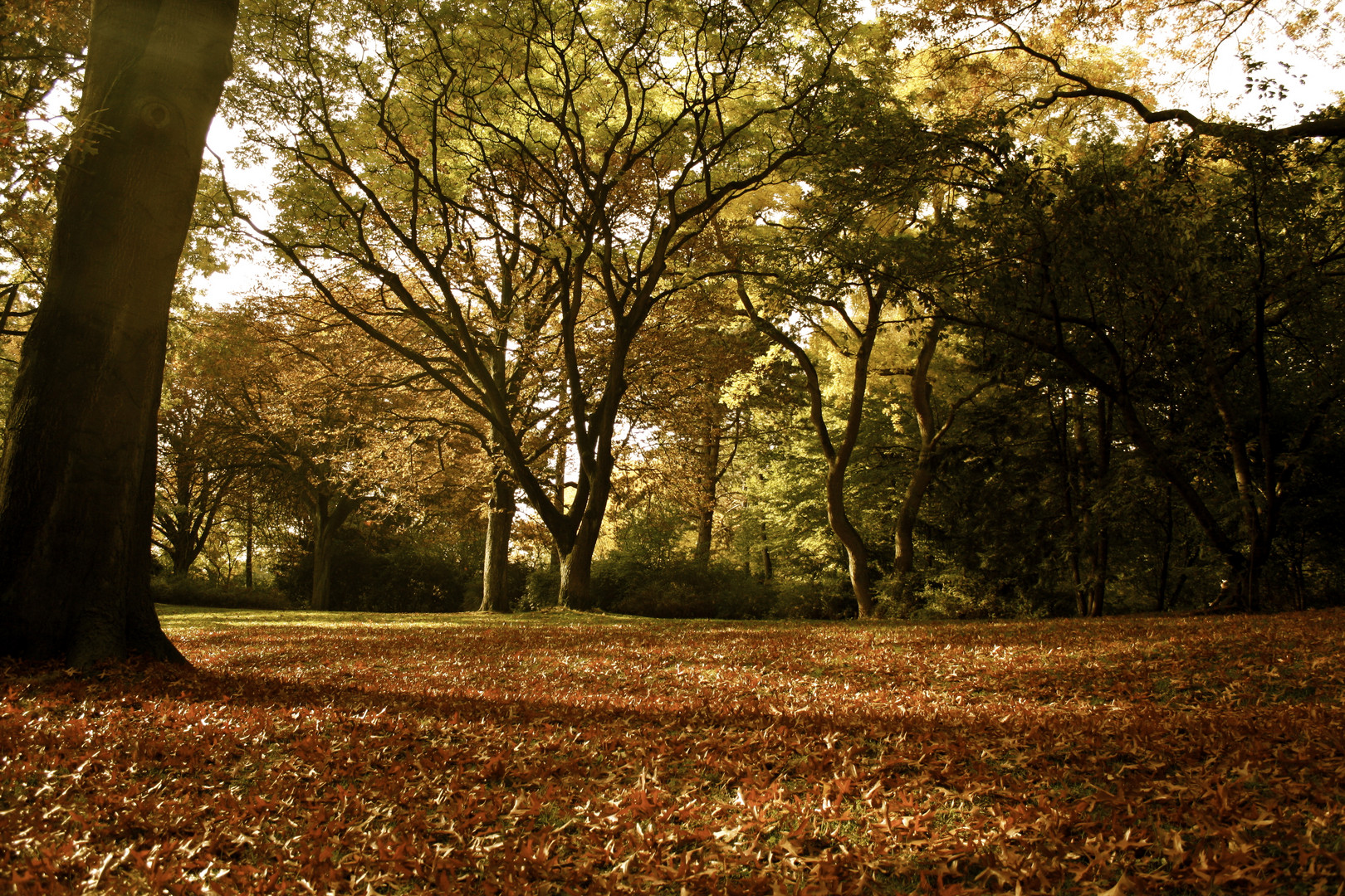 Herbst- Die schönste Jahreszeit