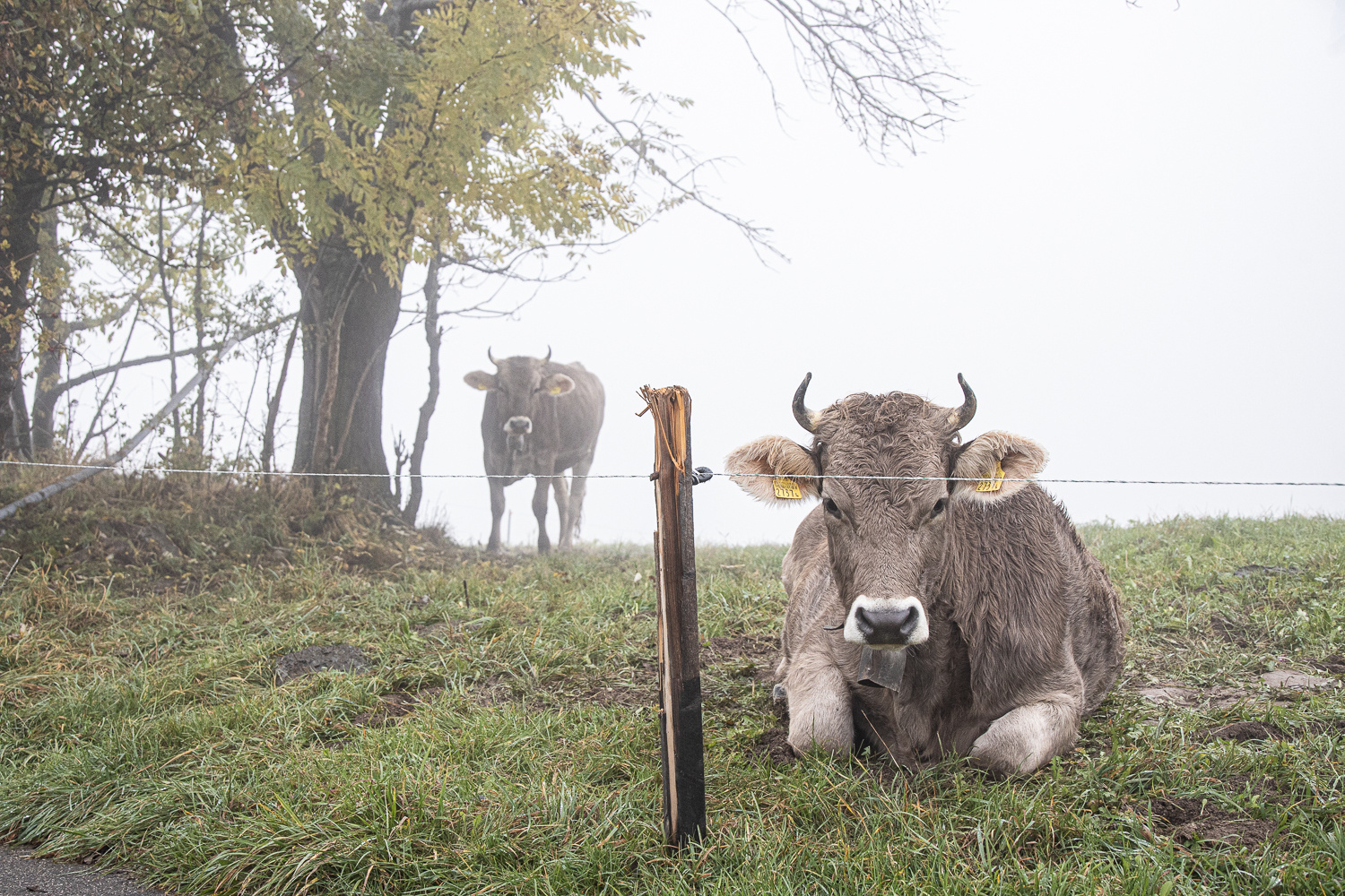 Herbst - die schönste Jahreszeit ....