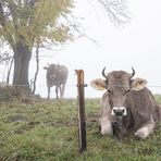 Herbst - die schönste Jahreszeit ....