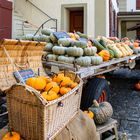 Herbst - die schönste Jahreszeit ....