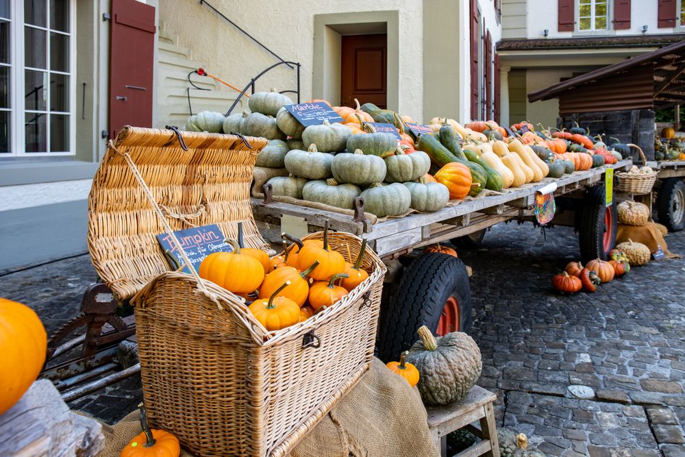 Herbst - die schönste Jahreszeit ....