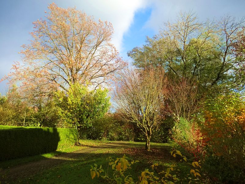 Herbst, die schönste Zeit...