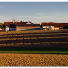 Herbst, die Tage werden kürzer, die Schatten immer länger.