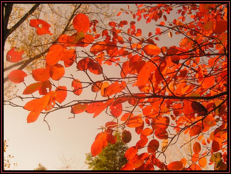 Herbst, die Zeit der Farben