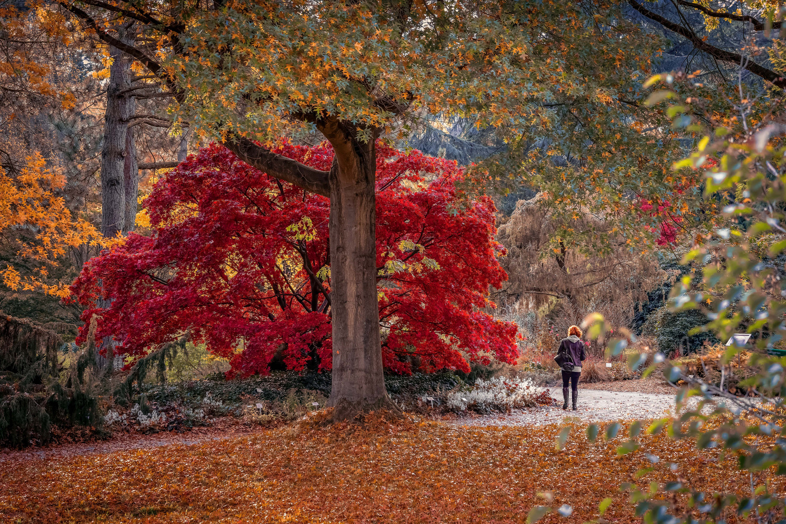 Herbst, die Zeit der Farben II