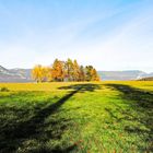 Herbst die Zeit der langen Schatten