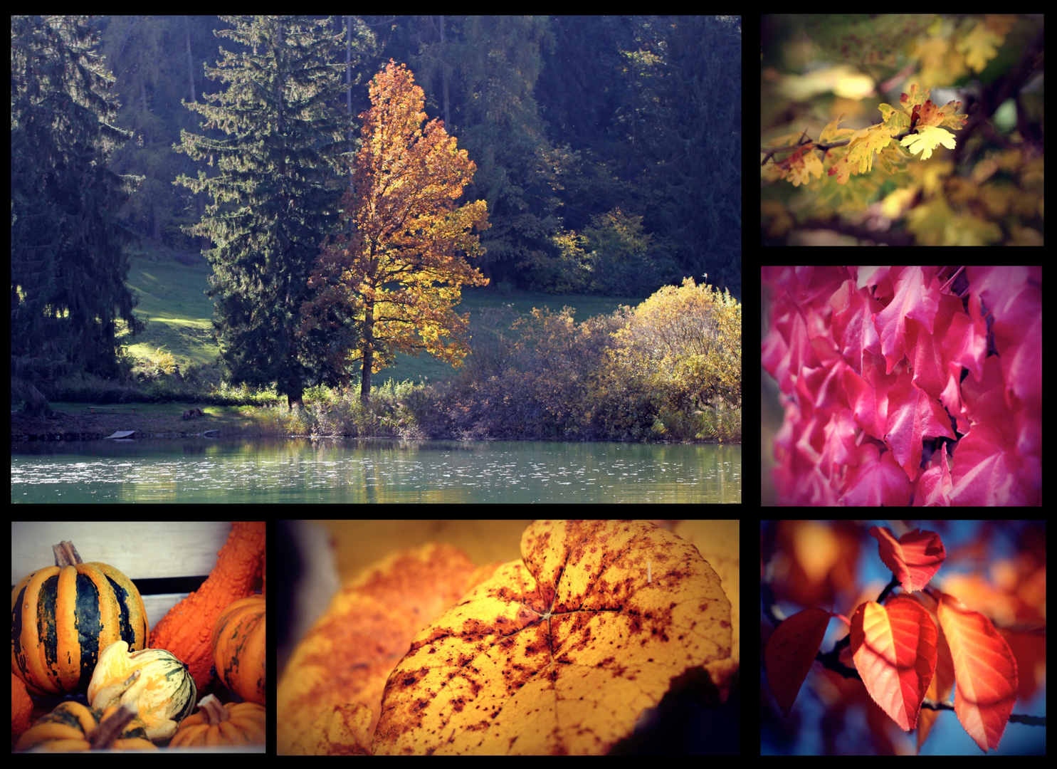 °° Herbst die zweite °°