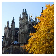 Herbst Dom