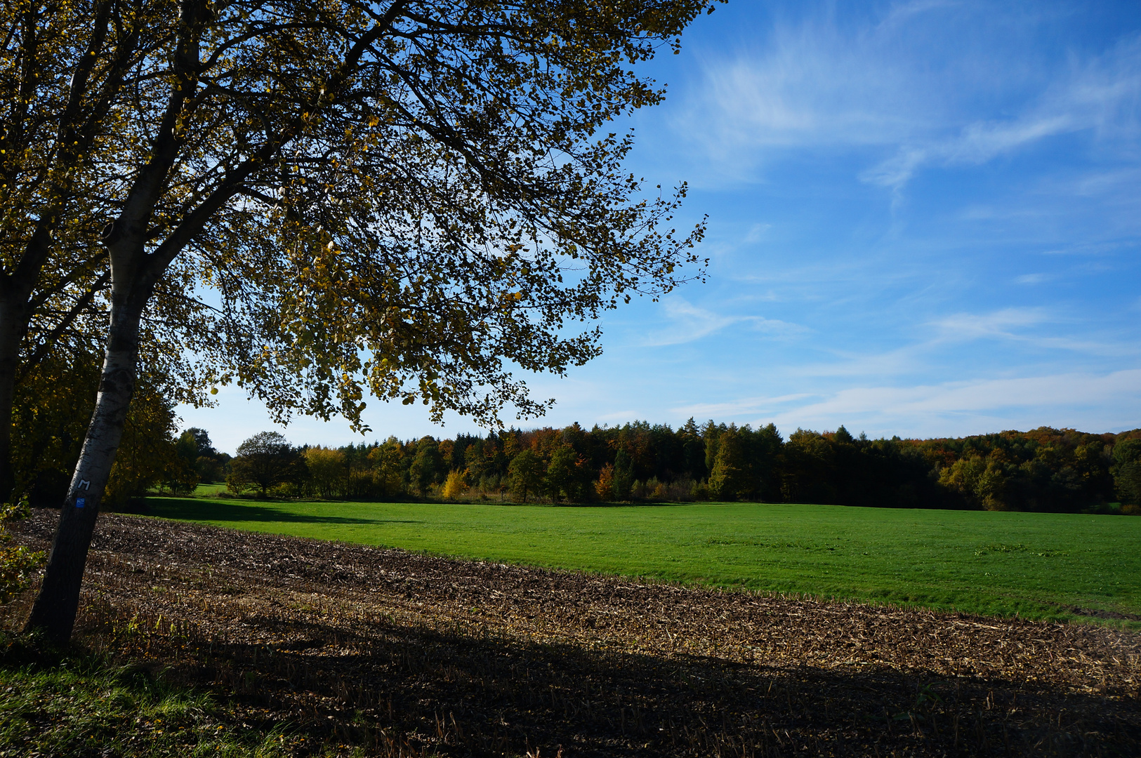 Herbst Dorf