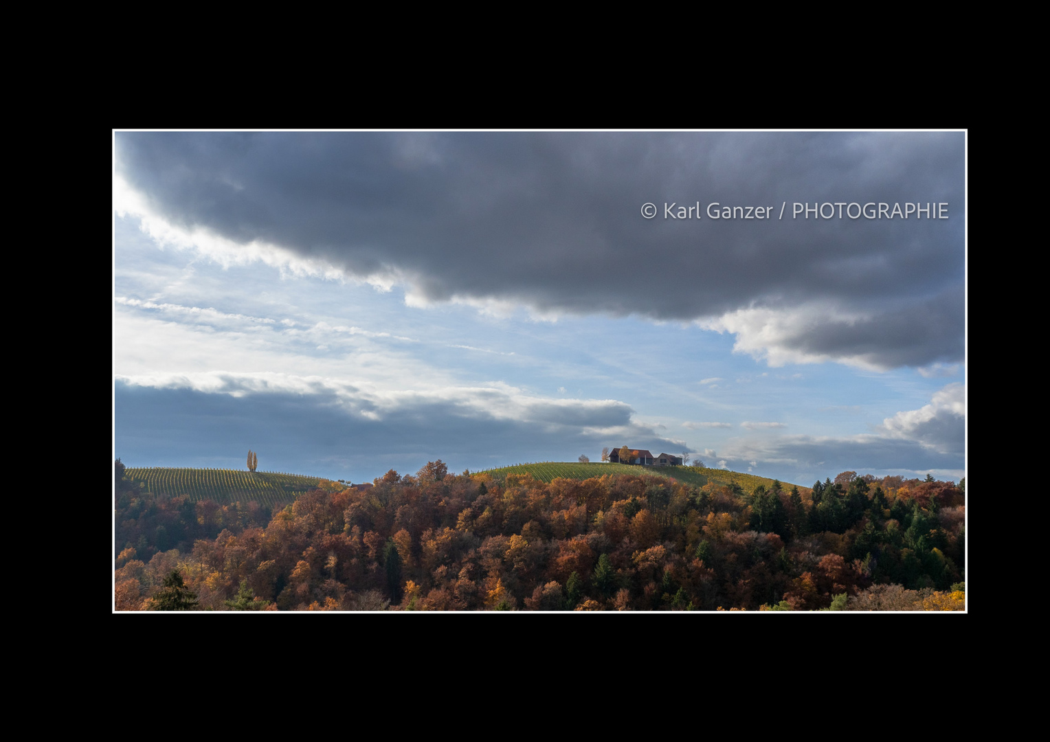 Herbst Dramatik in den Weinbergen