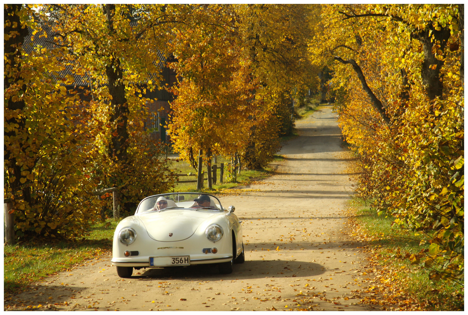 Herbst: Drive And See