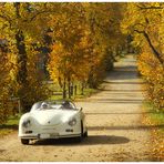 Herbst: Drive And See