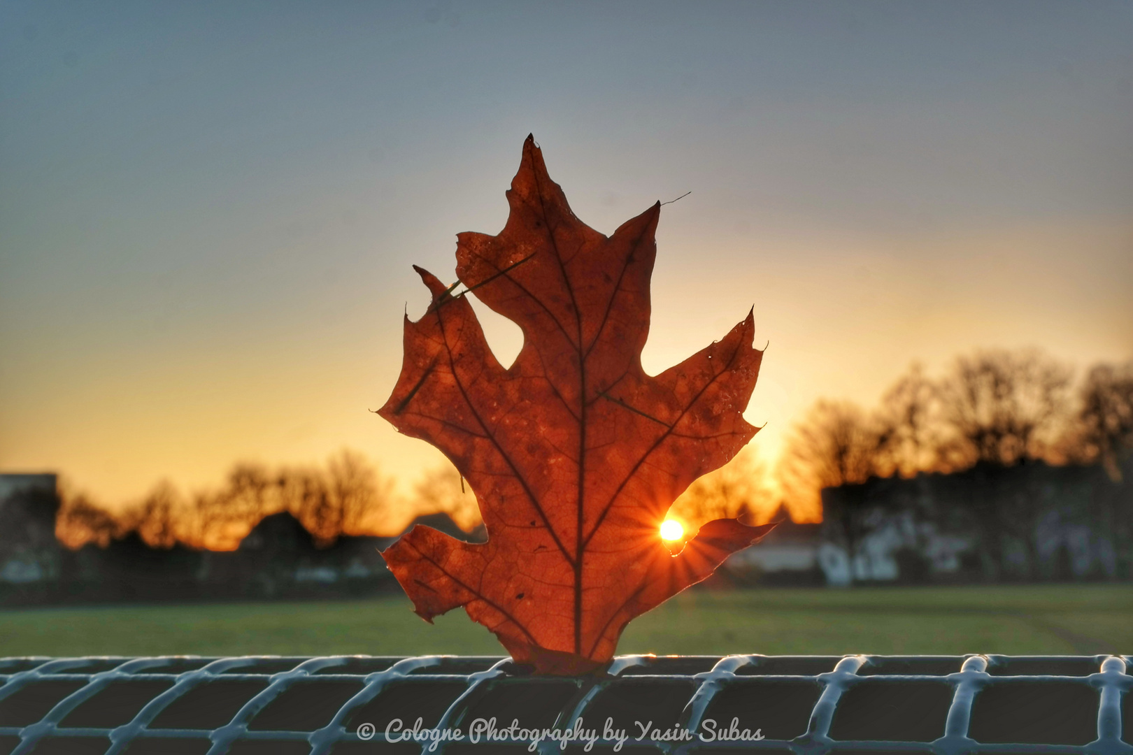 Herbst du bist einfach nur schön