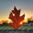 Herbst du bist einfach nur schön