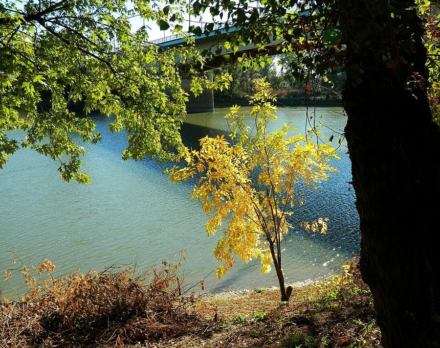 Herbst durch den Fluss