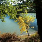 Herbst durch den Fluss