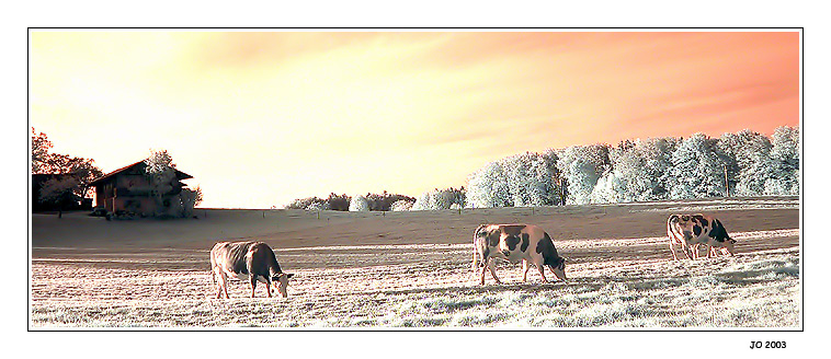 Herbst durch IR-Filter