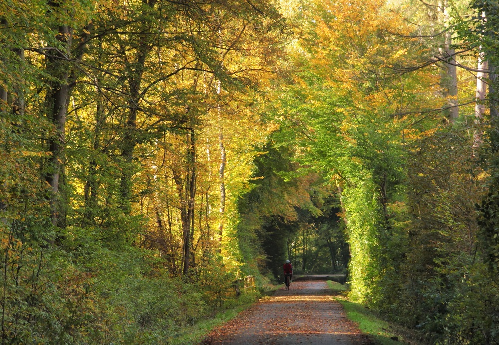 Herbst-Durchblick....