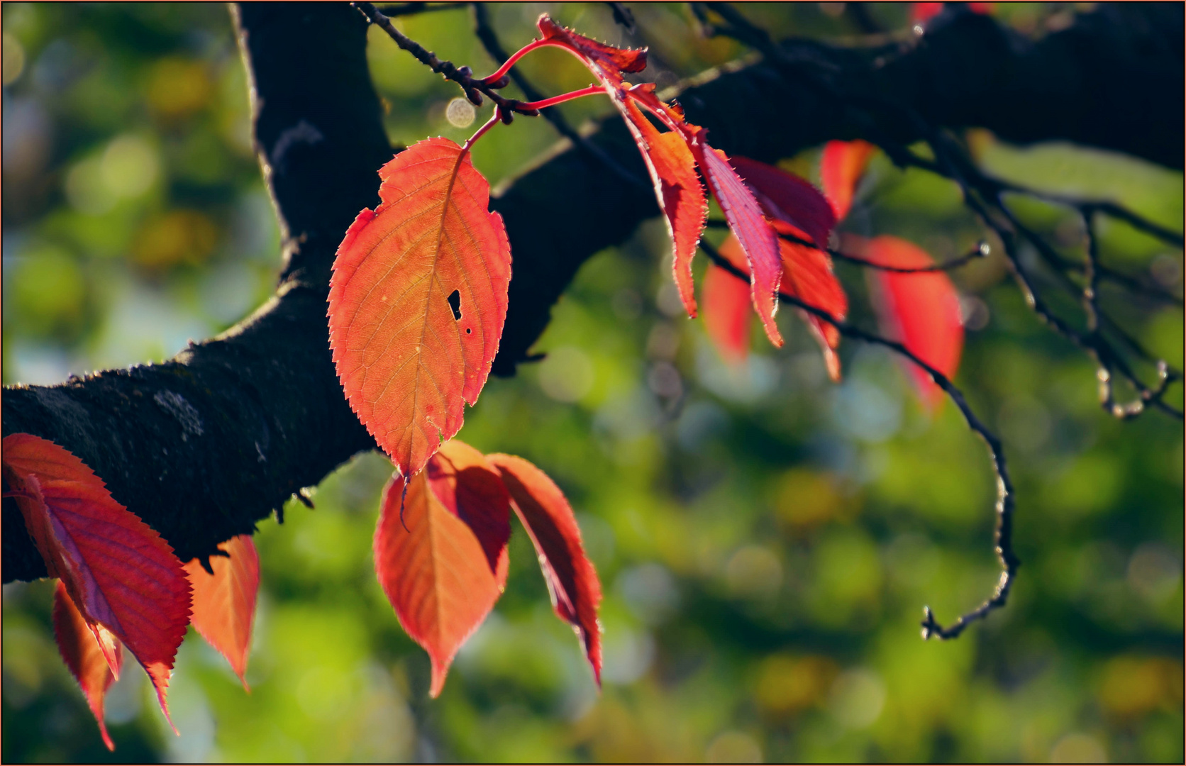 Herbst 