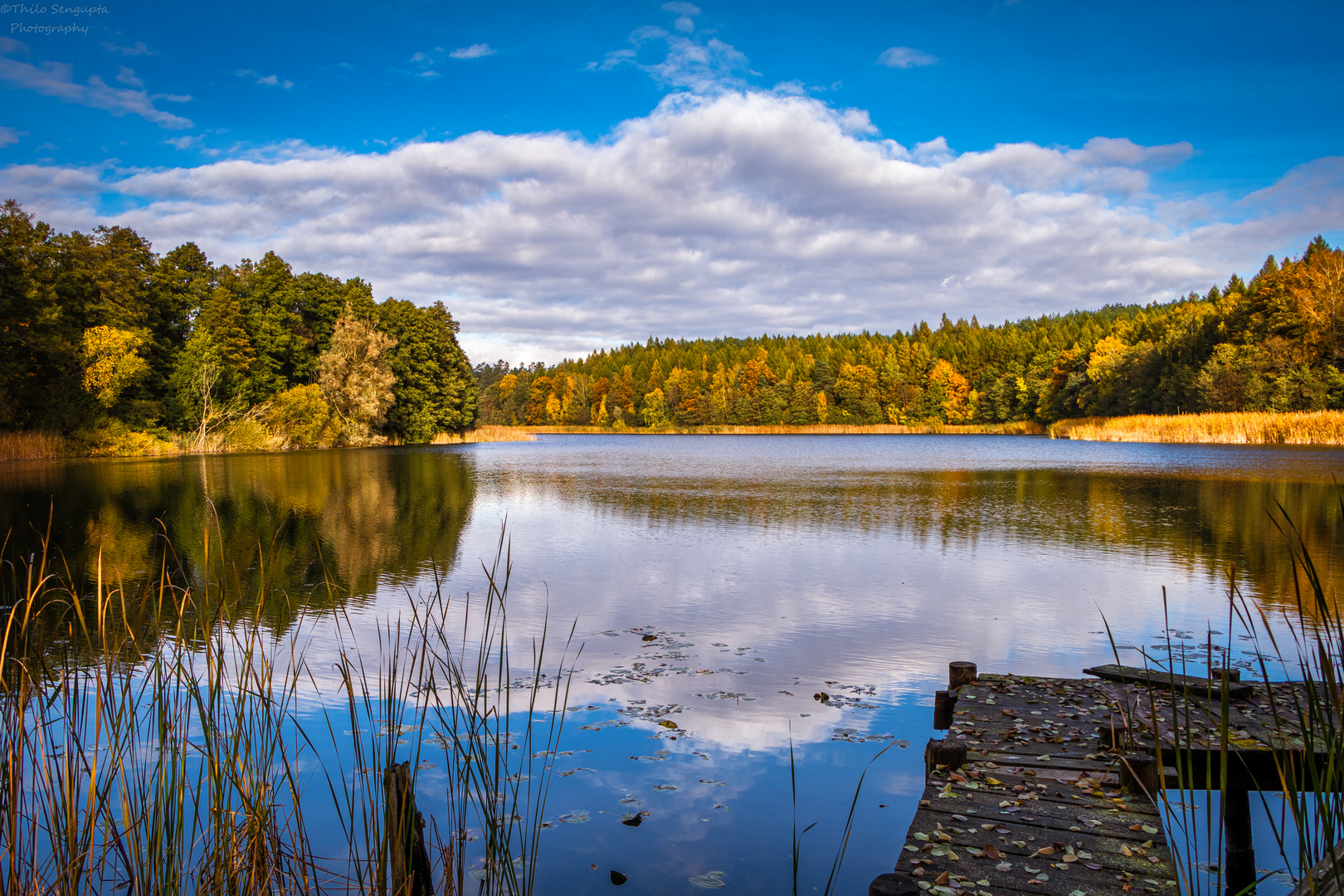 Herbst