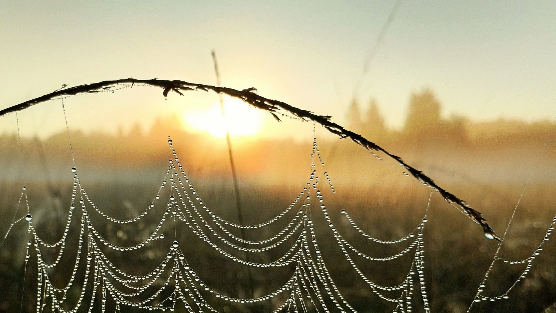 Herbst