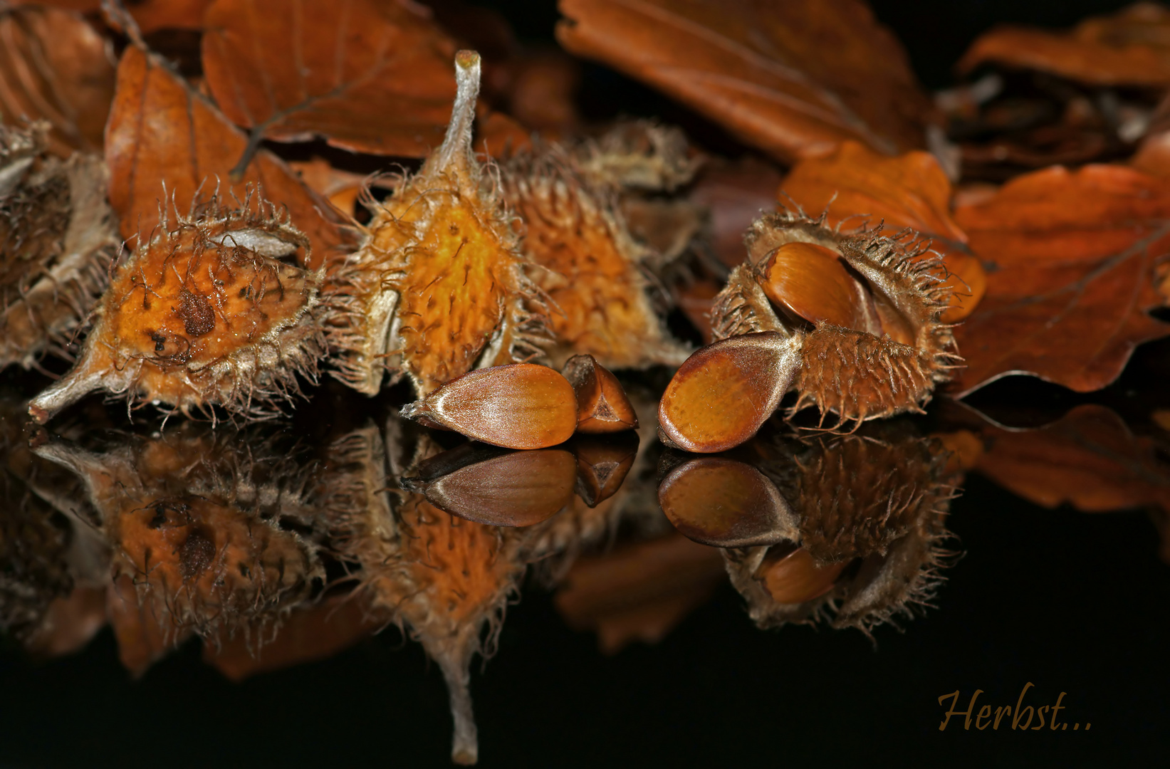 Herbst...