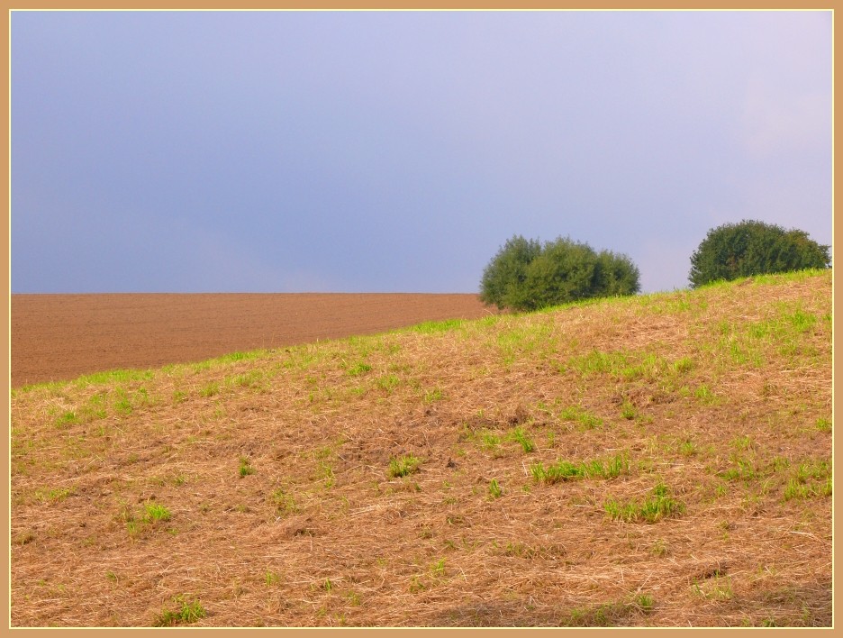 Herbst