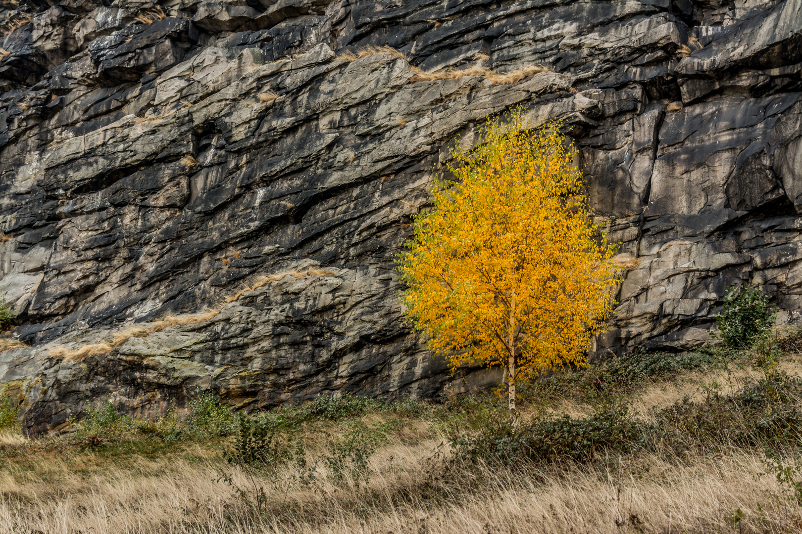 Herbst