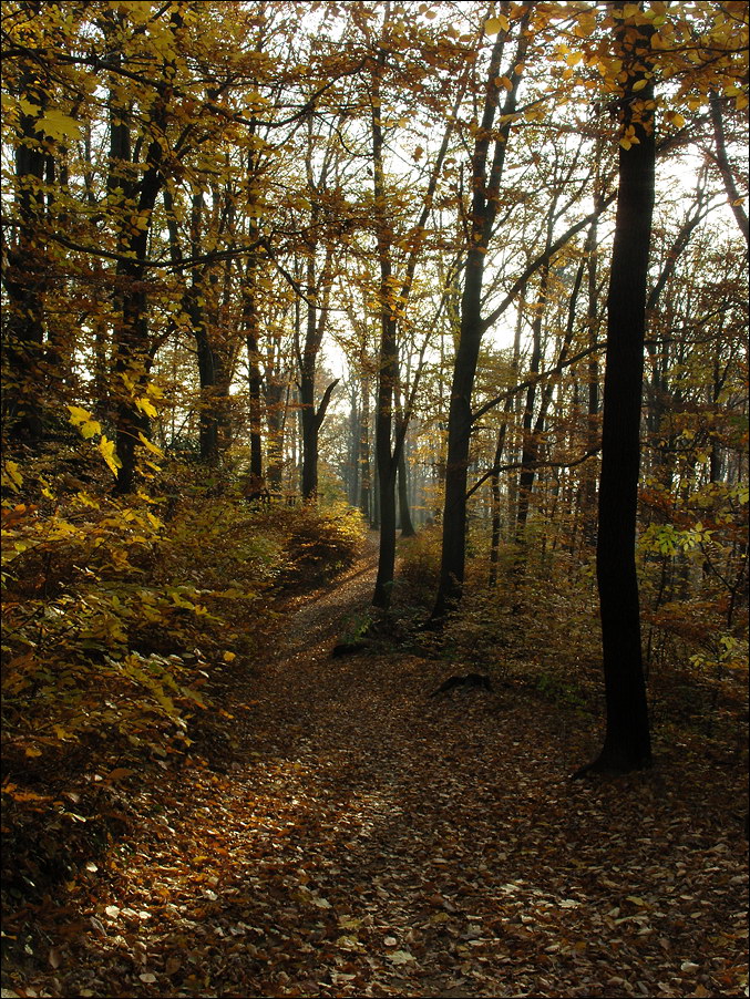 Herbst