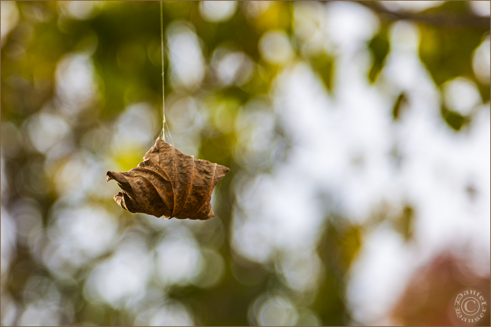 Herbst