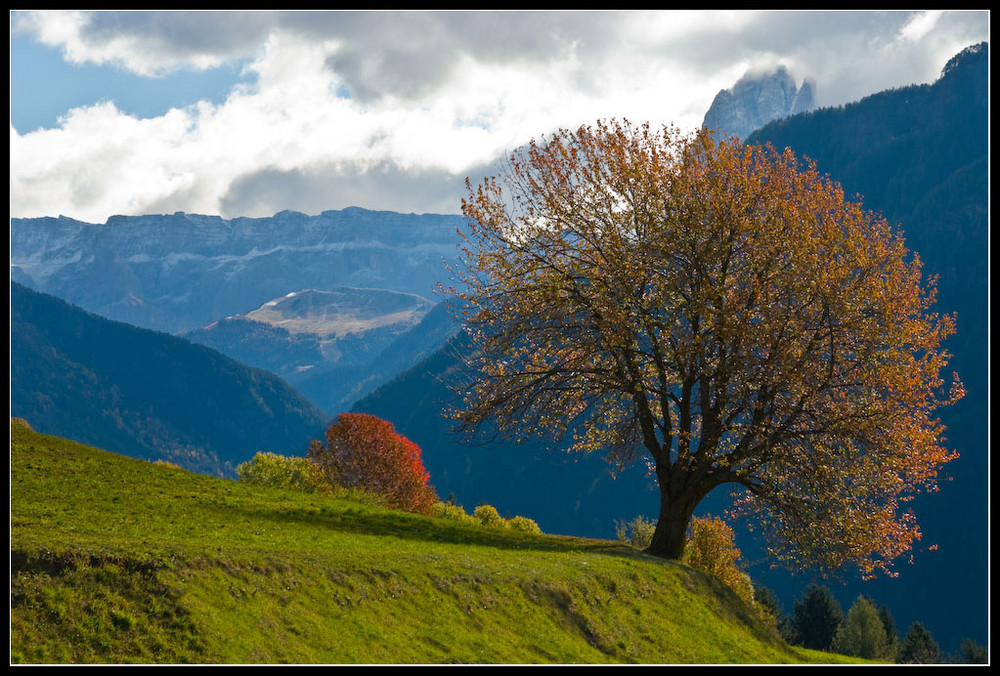 Herbst