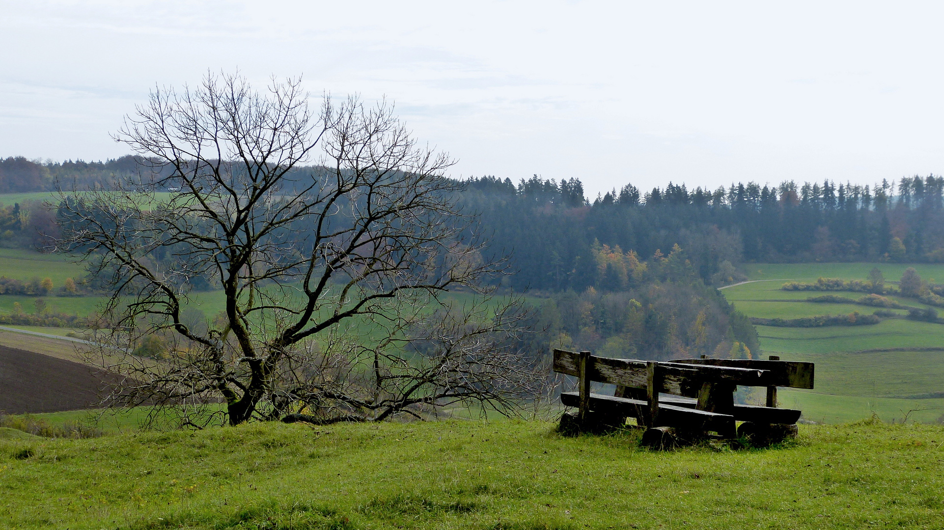 Herbst