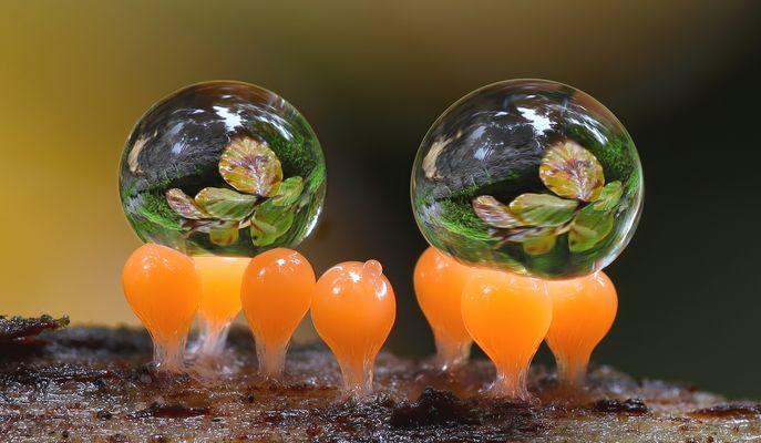 Herbst.................