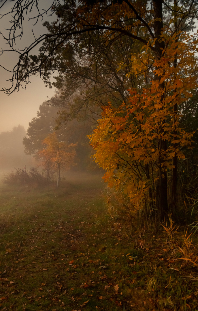 herbst