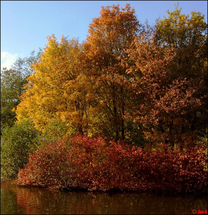 Herbst