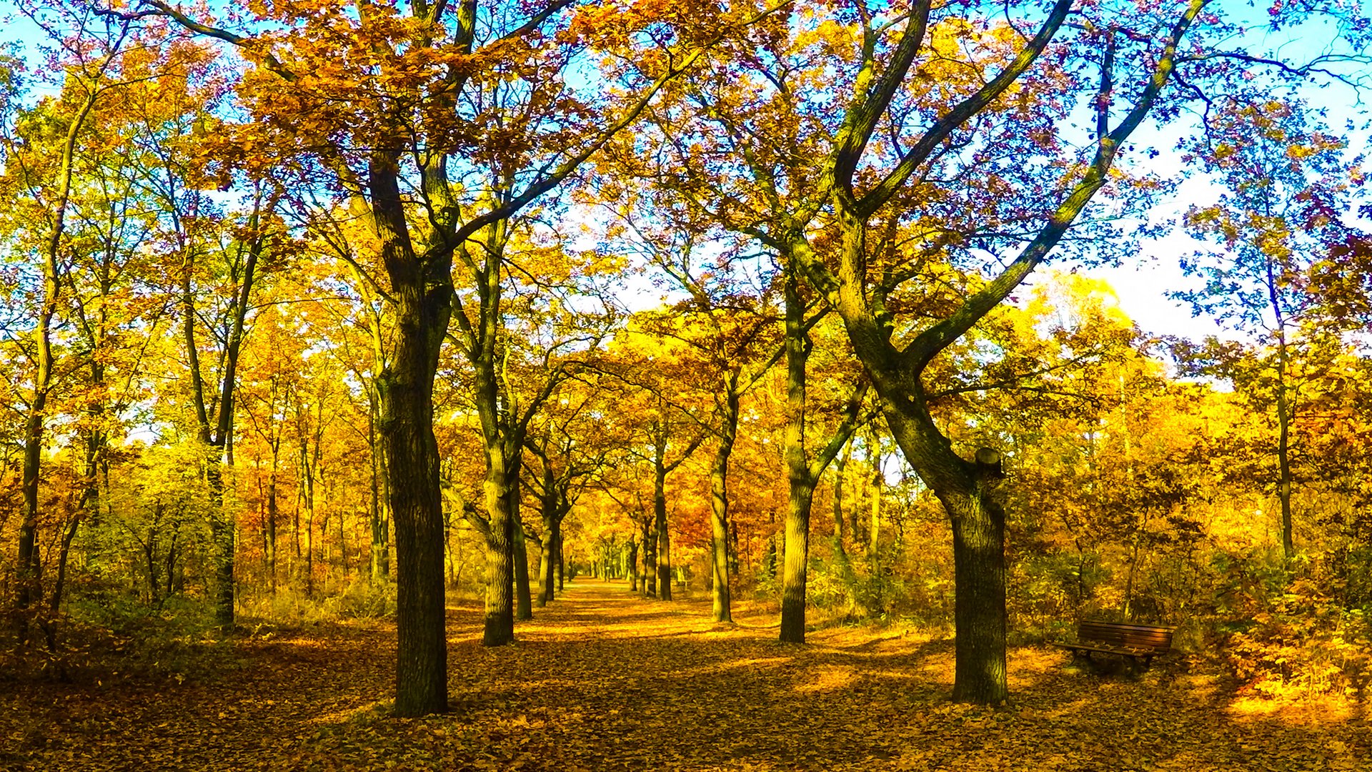 Herbst