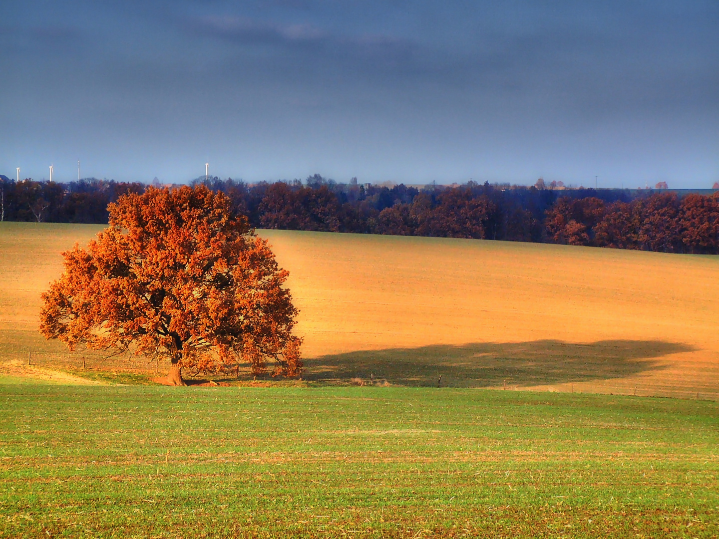 Herbst